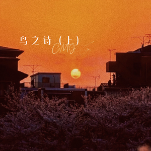 久热久草成人视频
